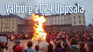 Swedish Celebration Valborg 2024 In Uppsala #kwakumove