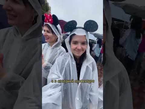 Video: Disney Theme Park билеттери 2031-жылга чейин эки эсе кымбаттайт, дешет эксперттер