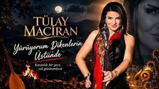 Tülay Maciran - Yürüyorum Dikenlerin Üstünde Karanlık Bir Gece Yol Görünmüyor 2026