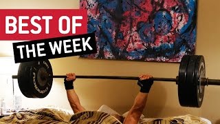 Best Videos Of The Week 3 December 2015 Jukinvideo