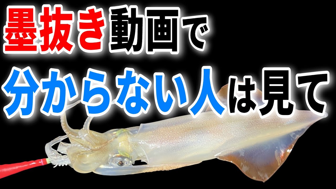 イカの墨袋をキレイに取る裏ワザ発見！