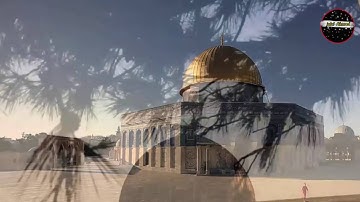 سورة آل عمران تلاوة خاشعة بصوت شاب من غزة