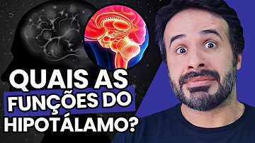 Qual é a função principal do hipotálamo em relação ao controle neuroendócrino?