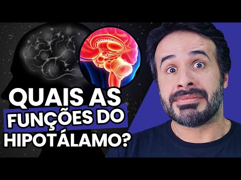 Vídeo: Em qual lobo está o hipotálamo?