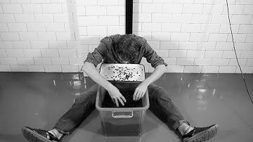 How Not To Sort Coffee Beans