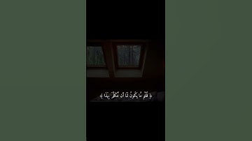 ﴿ وَتَحْسَبُونَهُ هَيِّنًا وَهُوَ عِندَ اللَّهِ عَظِيمٌ ﴾ قارئ احمد خضر سورة النور