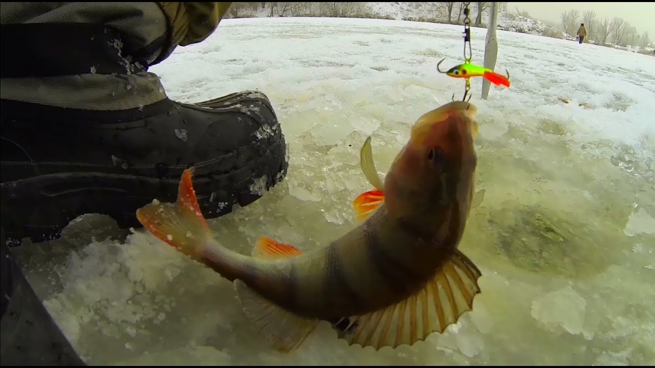 ⁣Рыбалка зимой от Михалыча. В поисках зимнего окуня