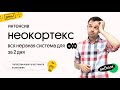 Нервная система. Интенсив - День 1. Биология ЕГЭ. Даниил Дарвин. Вебиум