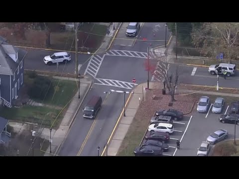 2 children killed after being hit by car walking to school near ...