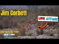 Creta से पहुंचे Jim Corbett National Park From Pilibhit Tiger Reserve | Car Drive In Tiger Zone