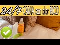 ✅ CAMA-CASA con OLOR RICO 24\7 - aromatizante CASERO PARA QUE TU CASA SIEMPRE HUELA RICO| #limpieza