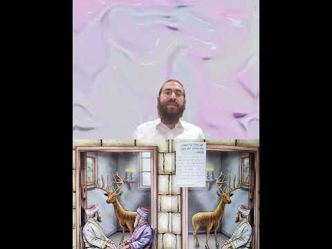 Shabbat Chapter 13 - Youtube