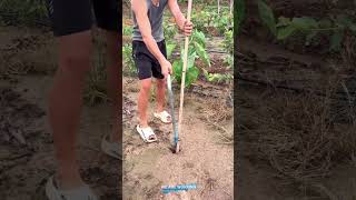 🔧 Lever-Assisted Stake Driving Clamp for Easy Post Installation