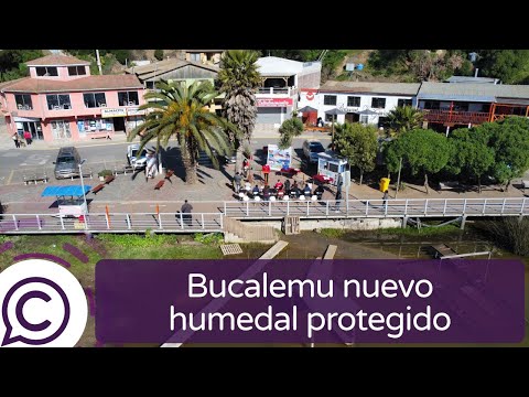 Bucalemu es el segundo humedal protegido de O'Higgins