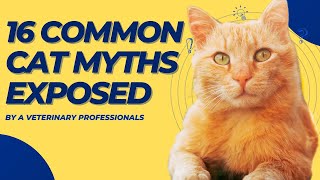 😻 16 Popular Cat Myths Completely Exposed and Destroyed by a Veterinary Professionals 💯😸 by FurrPawz 112 views 1 year ago 10 minutes, 42 seconds