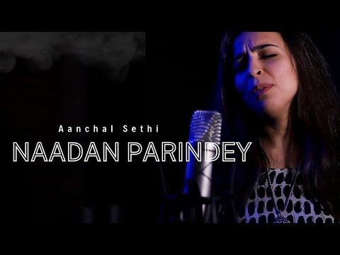 Nadaan Parindey  Aanchal Sethi  Female Cover unplugged AR Rahman