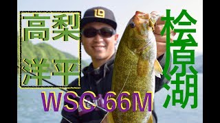 高梨洋平 桧原湖攻略の3本！ WSC66M　 解説 レジットデザイン ワイルドサイド