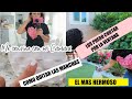 TIP EFECTIVO PARA QUITAR LAS MANCHAS |TENGO MAS PLANTAS |#SILVIAENTUVIDAVLOGS