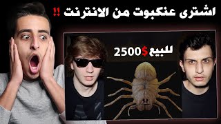 اشترى اكبـر عنكبوت من الانترنت !! والصـدمـه ما فعله هذا العنكبوت 😱!!!
