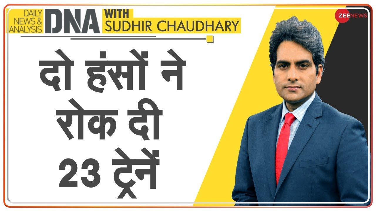 DNA: दो हंसों के जोड़े की भावुक कहानी | Sudhir Chaudhary | Germany | Emotional Story | Trains | Stop