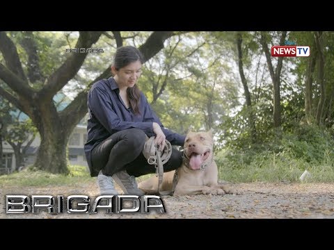 Video: Pagsasanay Sa Susunod Na Pagbuo Ng Mga Aso Sa Paghahanap At Pagsagip Sa Penn Vet Working Dog Center