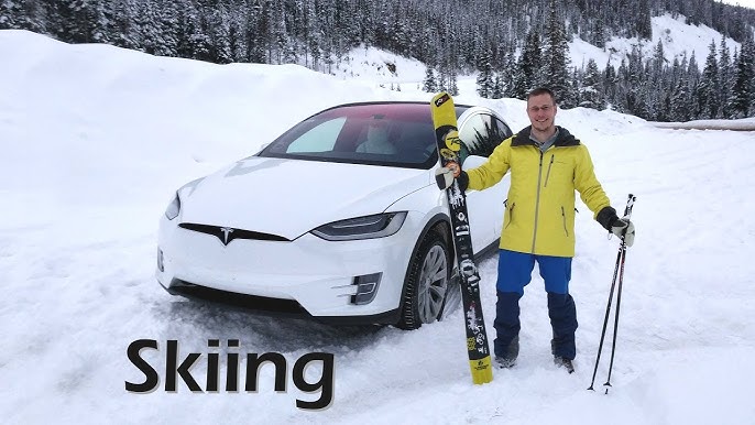 TreeFrog porta sci e snowboard con ventose per Tesla Model 3 , Y, S e X