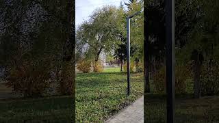 Последние осенние краски 😍 24 октября 2025 г.
