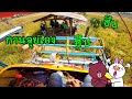 รถเกี่ยวข้าวจ้าวช้างไวไฟ ep.426 กานลุยเอง