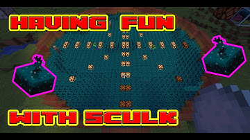 Fun Sculk Sensor Traps and Builds  |   Minecraft  Java 1.17+
