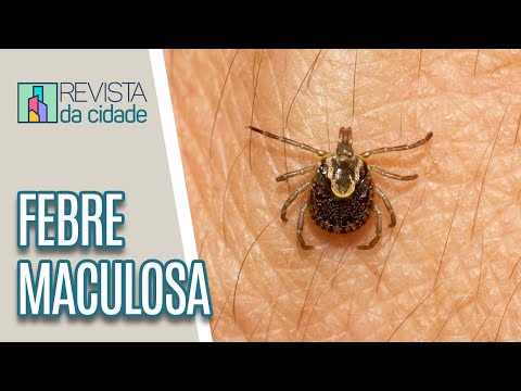 Tudo sobre a Febre Maculosa - Revista da Cidade (22/06/2023)