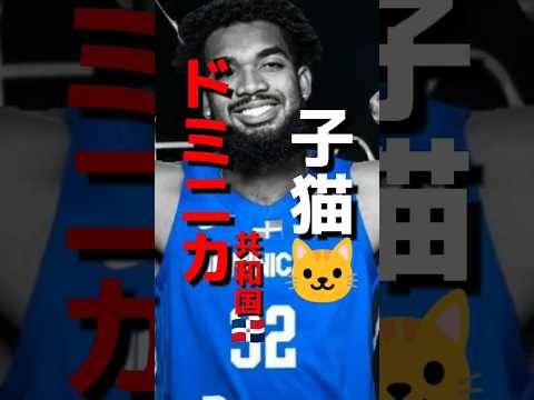 【八村にボコられた男】ドミニカ共和国🇩🇴がダークホースすぎる #クーズ男 #nba #nba2k #nbahighlights #レイカーズ #バスケw杯