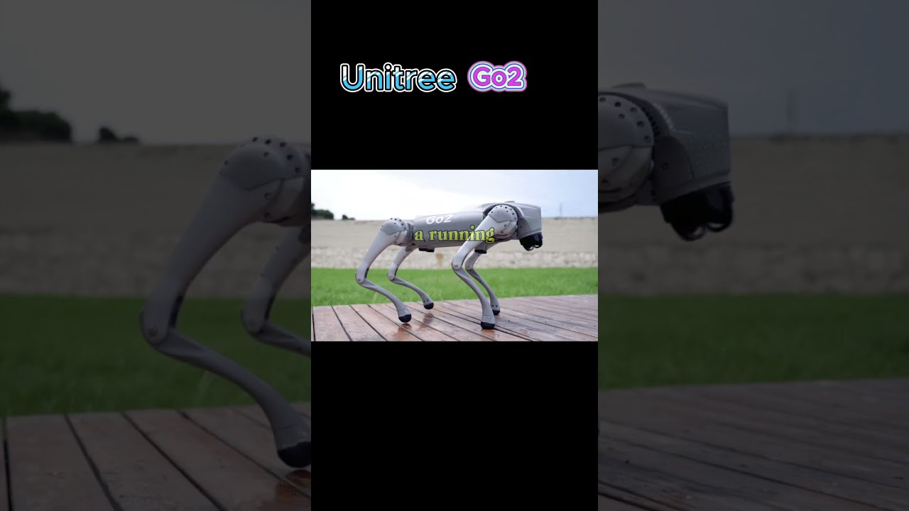 Unitree Go2 Robot Dog Quadruped Robotics Unitreego2 Ai Shorts Trending