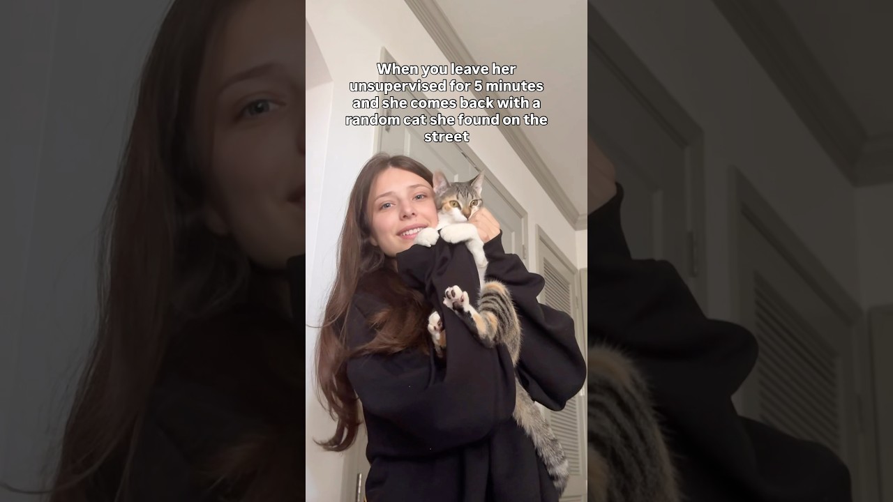 PUT THE CAT BACK WHERE YOU FOUND IT ANNA