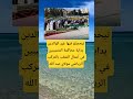 تيحصلو فيها غير الوالدين اكسبلور اقنباسات 100 الله ترند معلومات لايك
