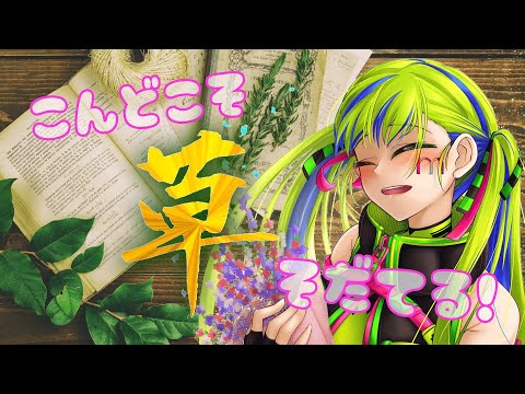 【 栽培 】いつも枯らしてしまうが、今回こそおおおおお🍃