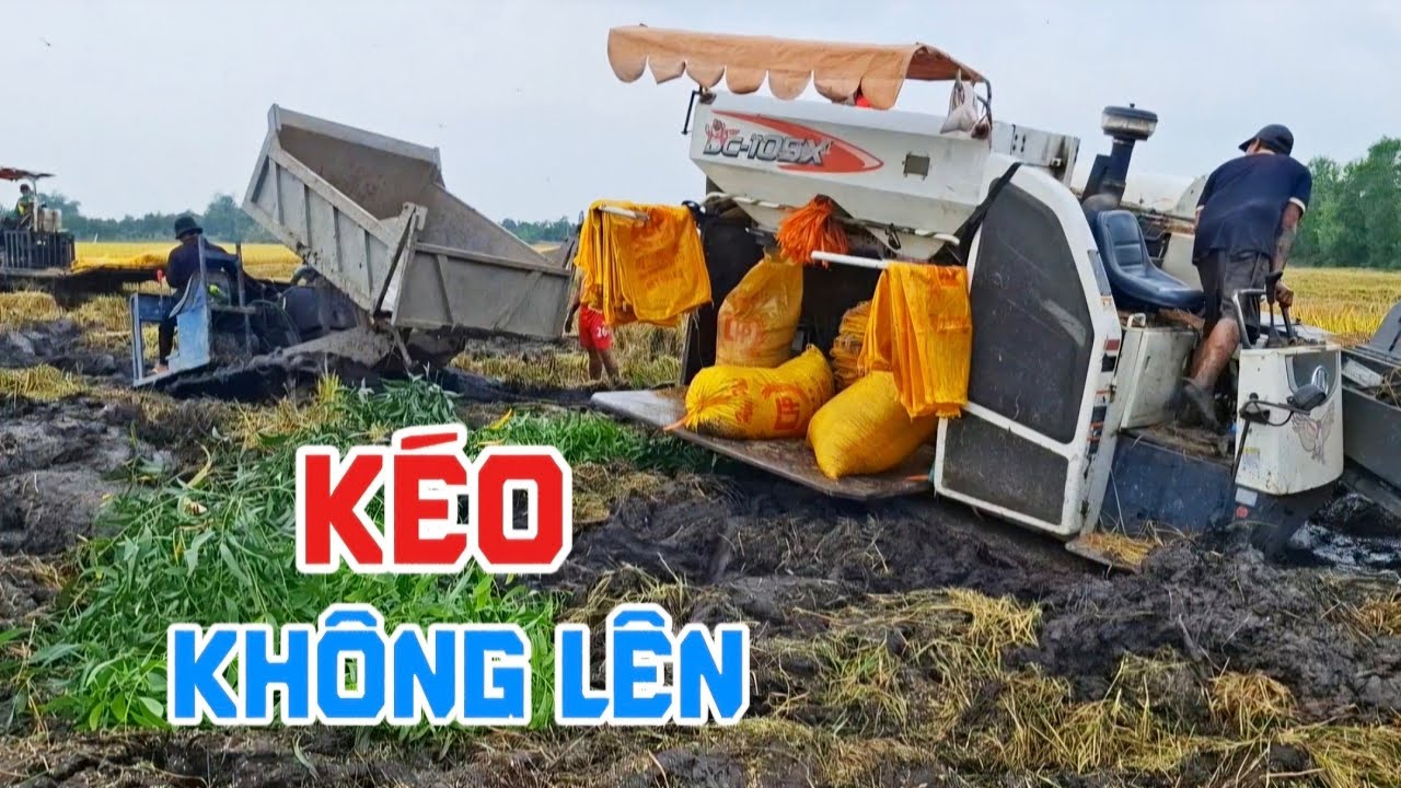 Máy cắt bị kubota 105 bị sa lầy 