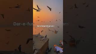 Tajdar e haram   Atif Aslam   lyrics video   #trending #song #music #lyricvideo #music #viral