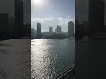 Miami Skyline from the Water: Cruise Vibes 🚢🏙️