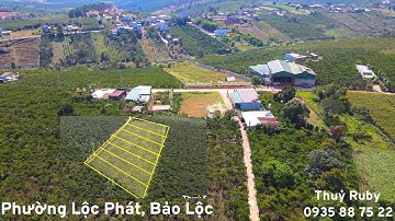 Chỉ 850triệu sở hữu 500m2 nhánh Lý Thường Kiệt, Lộc Phát, Bảo Lộc, cách trục dẫn cao tốc 3,5km