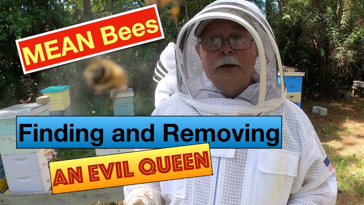 Removing an Evil Queen