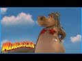 DreamWorks Madagascar | Gloria&#39;s best moments | Madagascar | Kids Movies