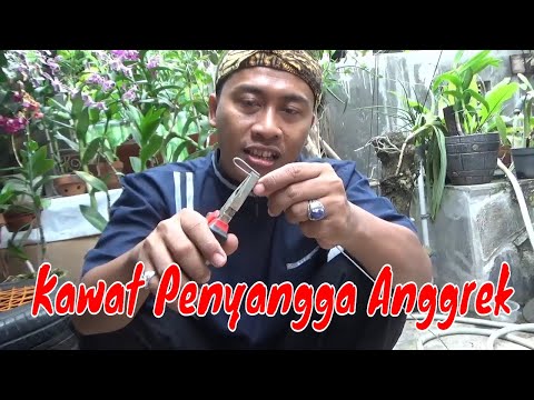 Video: Bagaimana Cara Membuat Anggrek Dari Damar Wangi?