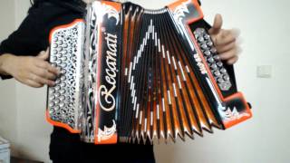 Video thumbnail of "Vera Oliveira (concertina) - A 13 de Maio de Carlos Ribeiro e Maria Celeste"