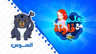 سبيستون | تعلم مع فلونة | حيوان السوس 🦡