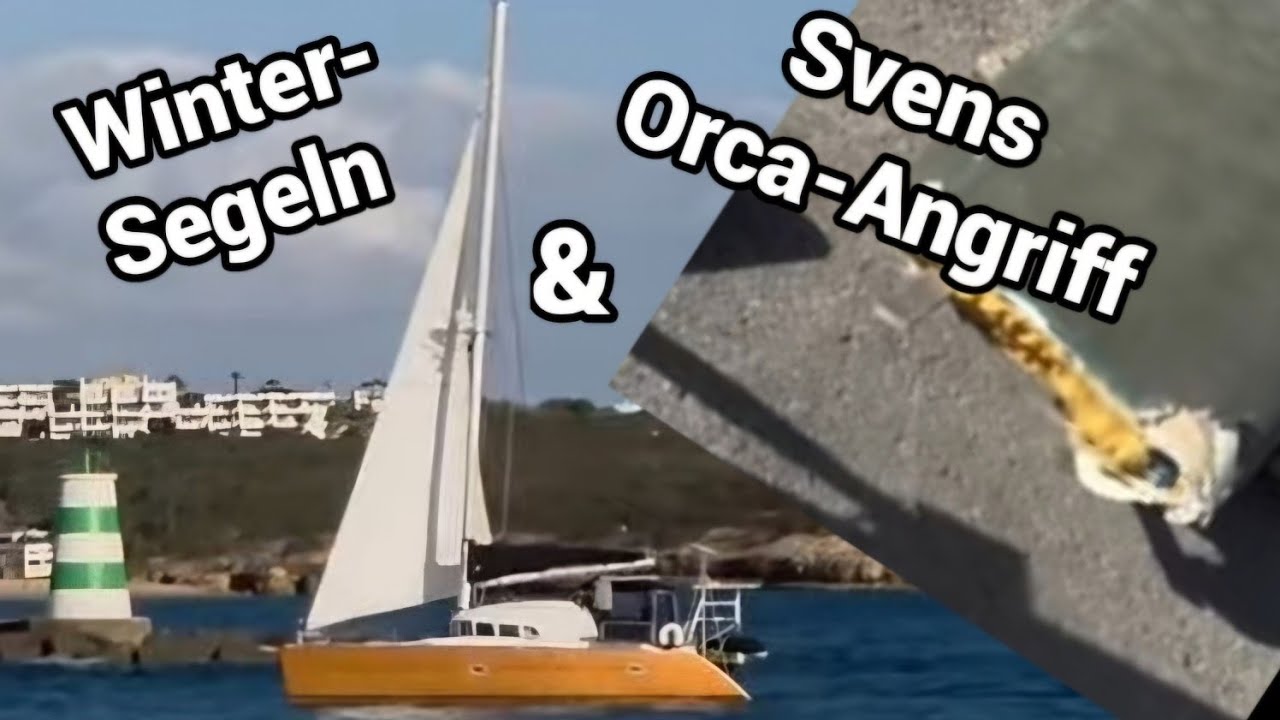⁣Winter-Segeln, Stürme und Svens Orca-Angriff