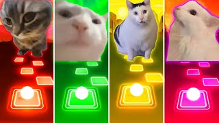 Chipi Chipi Chapa Chapa Cat vs Vibing Cat vs Huh Cat vs Malow Cat  Tiles Hop EDM Rush