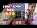 STRAY ROUND ki fees ?? 😬😬 NEW STUDENT #sanjeevninursingcollege #bscnursing2024