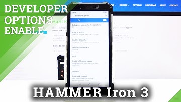 How to Enable Developer Options in Hammer Iron 3 - Unlock Manufacturer Mode