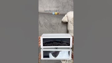 My mini fireplace 🥰 #diffuser #humidifier #relaxing #fyp