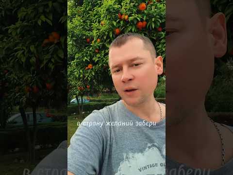 Бокал игристого вина - Александр Закшевский #александрзакшевский #музыкадлядуши #шансон #музыка